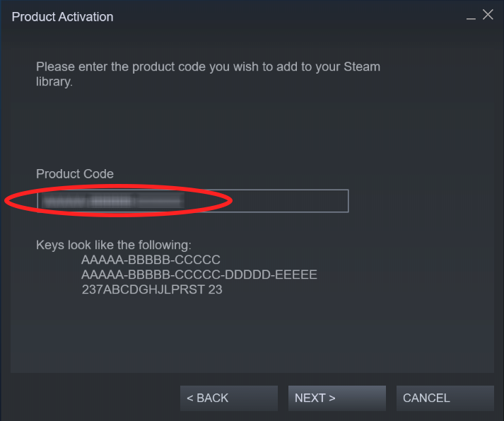 Steam Product Activation Example
